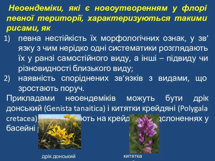 Неоендеміки, які є новоутворенням у флорі певної території, характеризуються такими