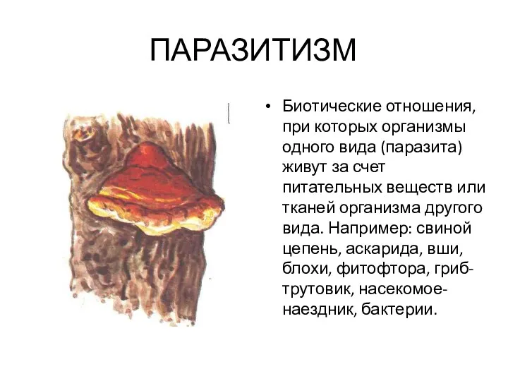 ПАРАЗИТИЗМ Биотические отношения, при которых организмы одного вида (паразита) живут