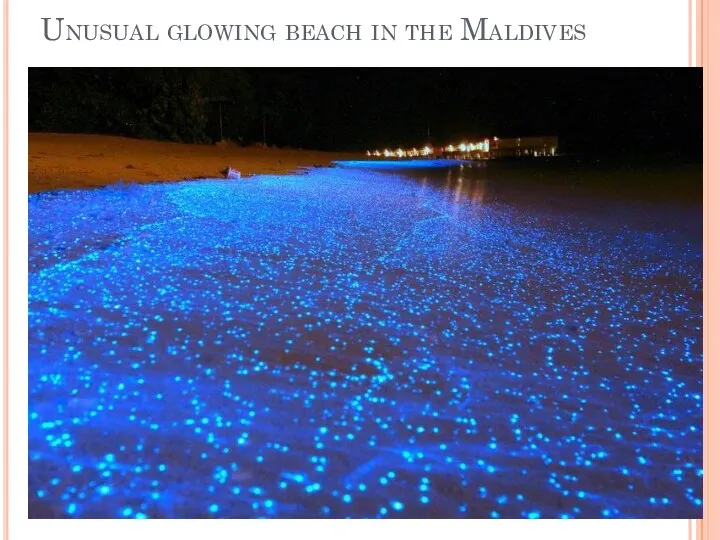 Unusual glowing beach in the Maldives