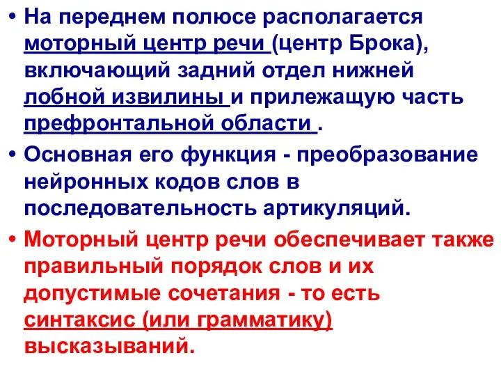 На переднем полюсе располагается моторный центр речи (центр Брока), включающий