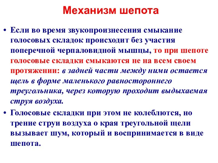 Механизм шепота Если во время звукопроизнесения смыкание голосовых складок происходит