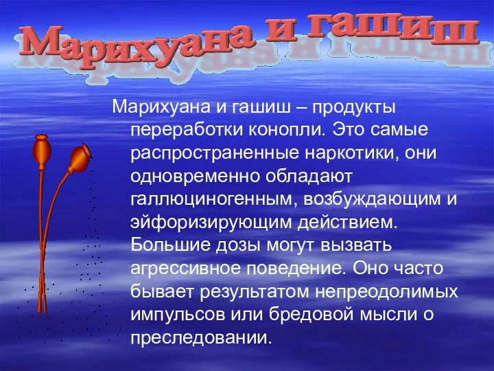 Марихуана и гашиш – продукты переработки конопли. Это самые распространенные наркотики, они одновременно