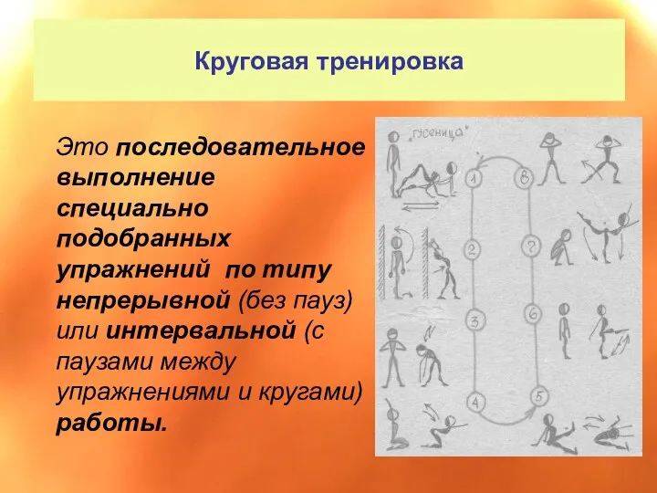 Круговая тренировка Это последовательное выполнение специально подобранных упражнений по типу