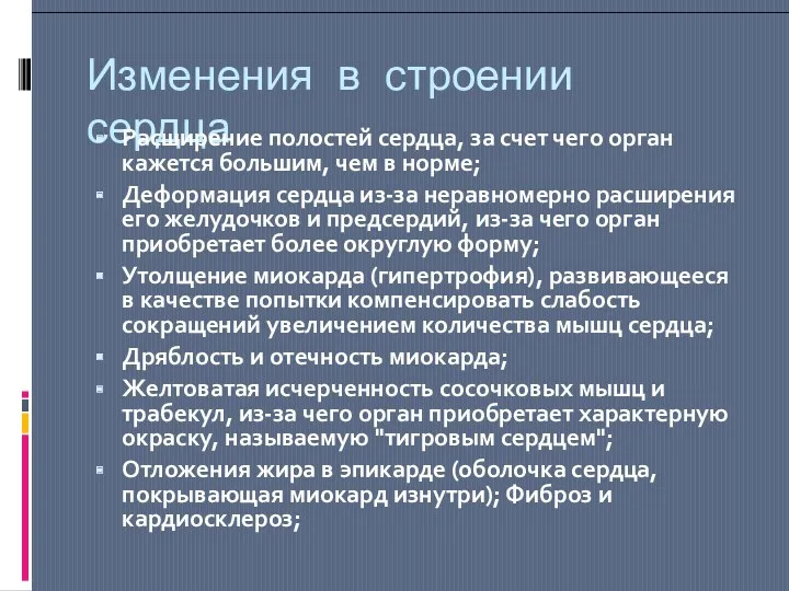 Изменения в строении сердца Расширение полостей сердца, за счет чего