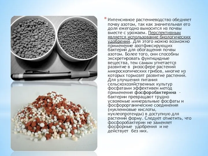 Интенсивное растениеводство обедняет почву азотом, так как значительная его доля