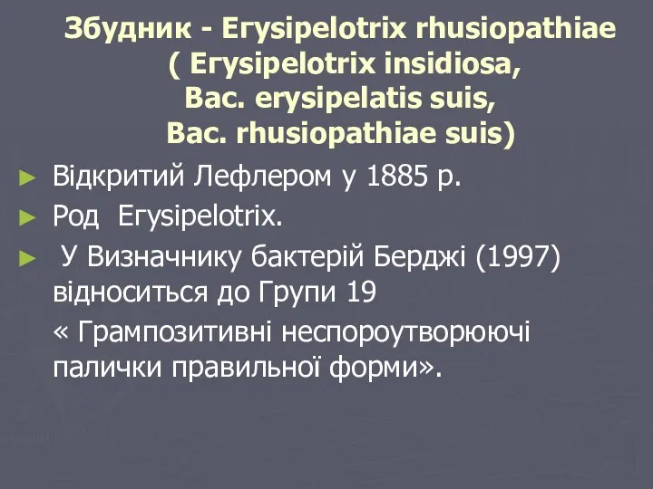 Збудник - Егysipelotrix rhusiopathiae ( Егysipelotrix insidiosa, Bac. erysipelatis suis,