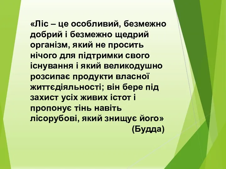 «Ліс – це особливий, безмежно добрий і безмежно щедрий організм,