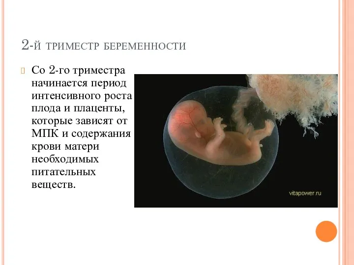 2-й триместр беременности Со 2-го триместра начинается период интенсивного роста плода и плаценты,