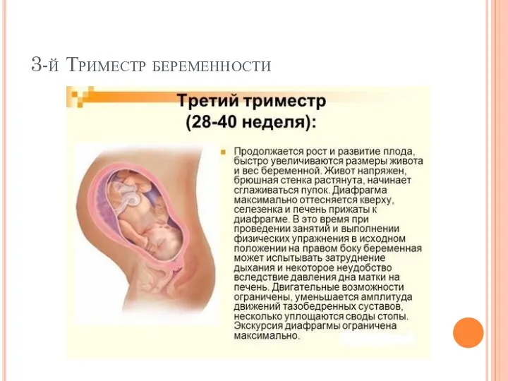 3-й Триместр беременности