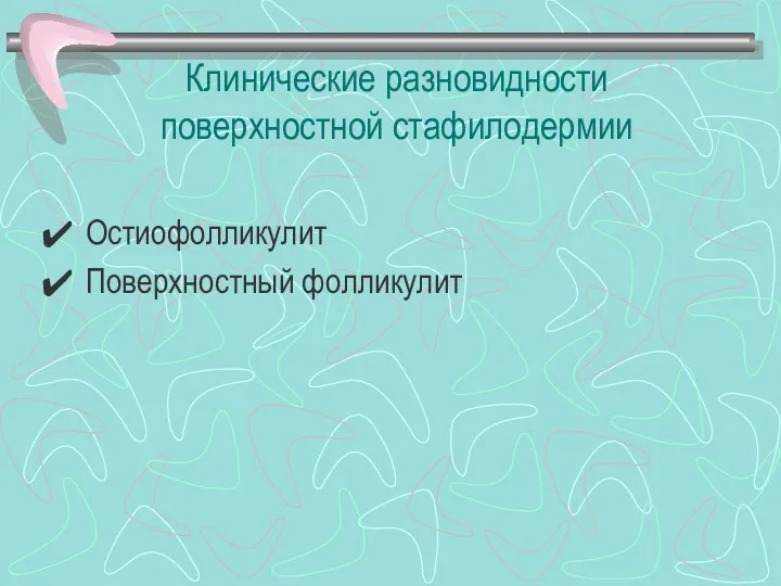 Клинические разновидности поверхностной стафилодермии Остиофолликулит Поверхностный фолликулит