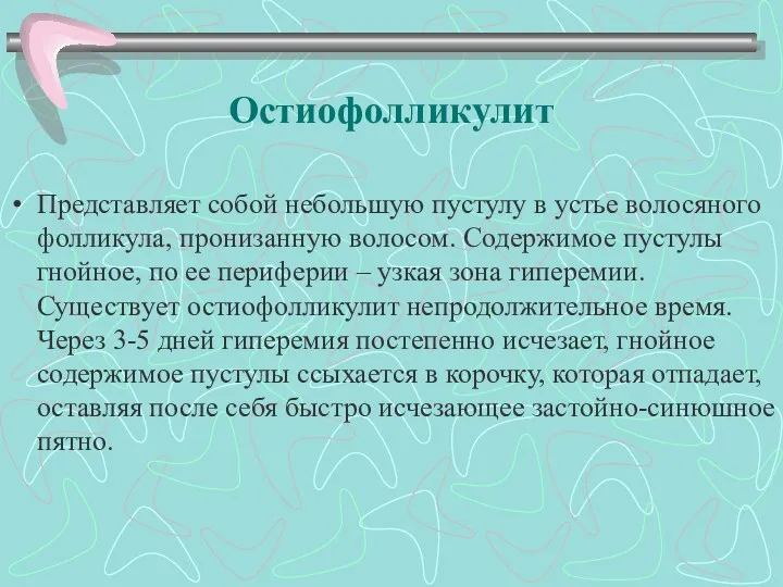 Остиофолликулит Представляет собой небольшую пустулу в устье волосяного фолликула, пронизанную