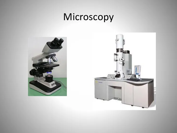 Microscopy