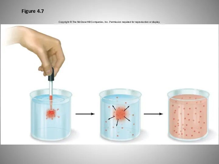 Figure 4.7 Copyright © The McGraw-Hill Companies, Inc. Permission required for reproduction or display.