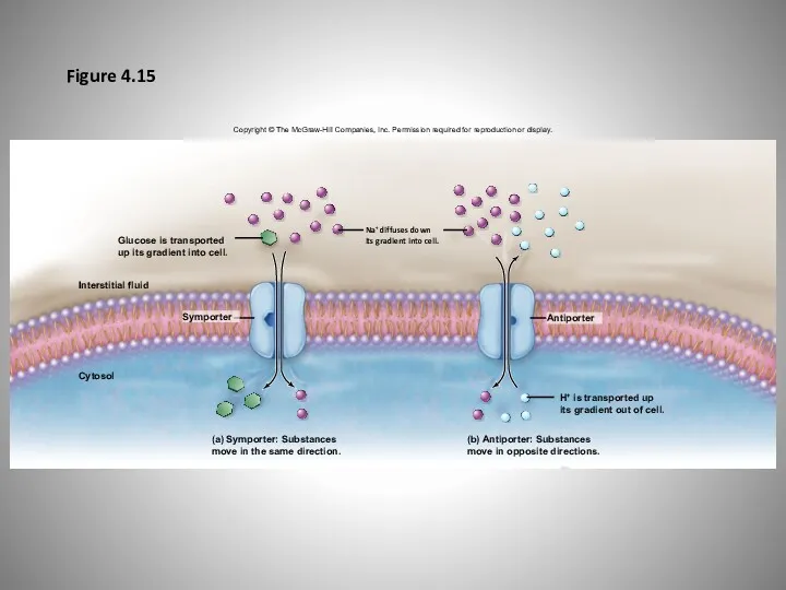 Figure 4.15 Copyright © The McGraw-Hill Companies, Inc. Permission required