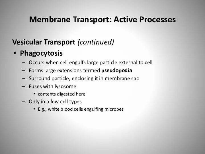 Membrane Transport: Active Processes Vesicular Transport (continued) Phagocytosis Occurs when