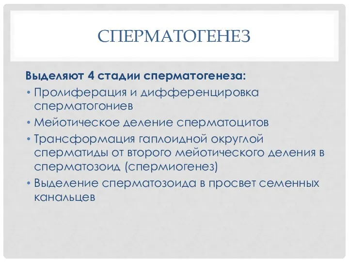 СПЕРМАТОГЕНЕЗ Выделяют 4 стадии сперматогенеза: Пролиферация и дифференцировка сперматогониев Мейотическое