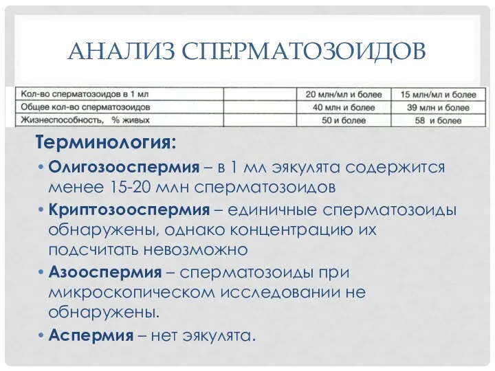 АНАЛИЗ СПЕРМАТОЗОИДОВ Терминология: Олигозооспермия – в 1 мл эякулята содержится