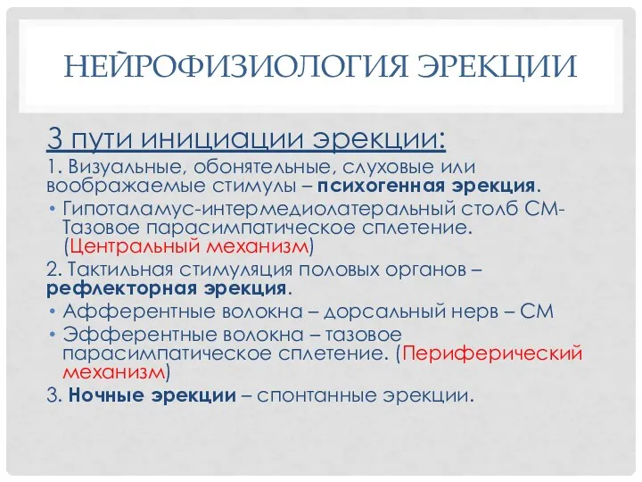 НЕЙРОФИЗИОЛОГИЯ ЭРЕКЦИИ З пути инициации эрекции: 1. Визуальные, обонятельные, слуховые