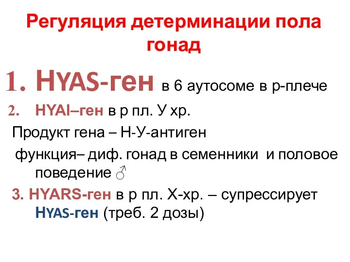 Регуляция детерминации пола гонад НYAS-ген в 6 аутосоме в р-плече