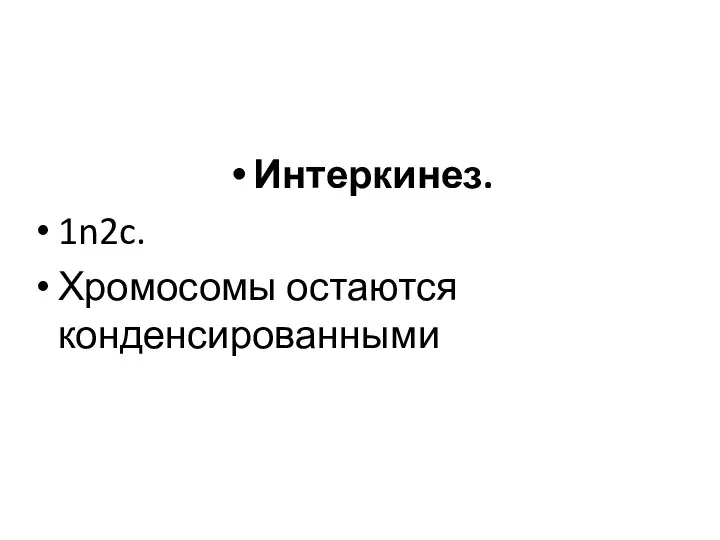 Интеркинез. 1n2c. Хромосомы остаются конденсированными