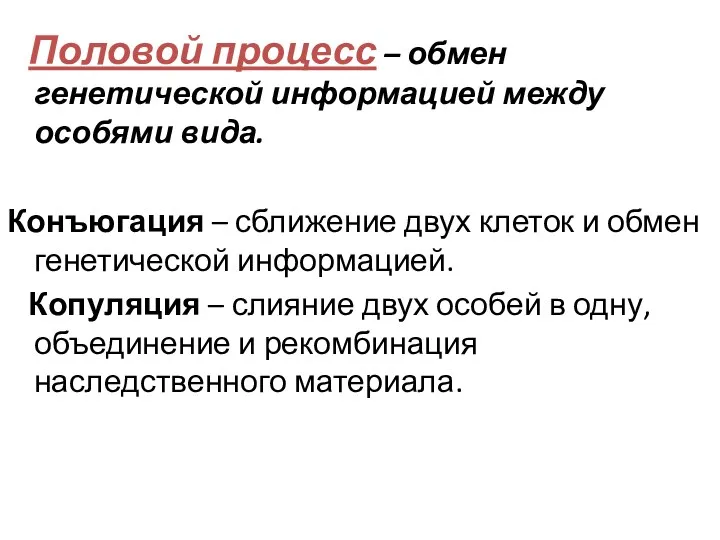 Половой процесс – обмен генетической информацией между особями вида. Конъюгация