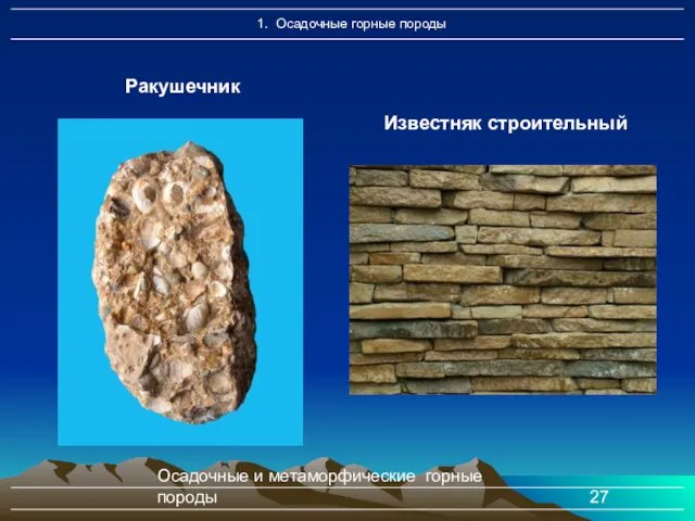 Осадочные и метаморфические горные породы Известняк строительный Ракушечник