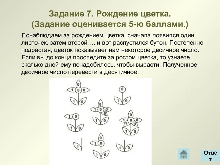 Задание 7. Рождение цветка. (Задание оценивается 5-ю баллами.) Понаблюдаем за