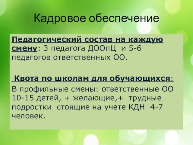 Кадровое обеспечение Педагогический состав на каждую смену: 3 педагога ДООпЦ