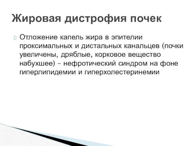 Отложение капель жира в эпителии проксимальных и дистальных канальцев (почки