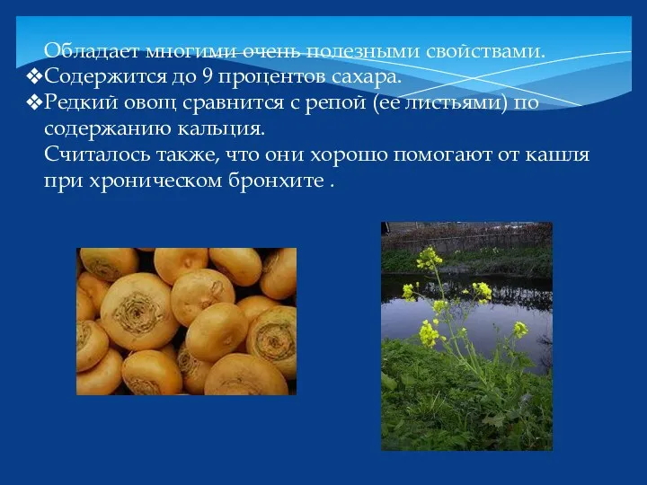 Обладает многими очень полезными свойствами. Содержится до 9 процентов сахара.