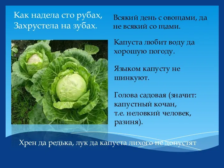 Как надела сто рубах, Захрустела на зубах. Всякий день с