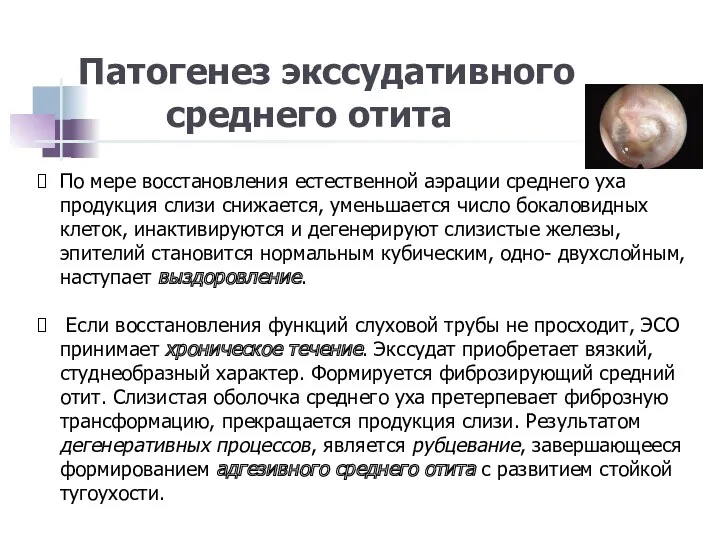 По мере восстановления естественной аэрации среднего уха продукция слизи снижается, уменьшается число бокаловидных