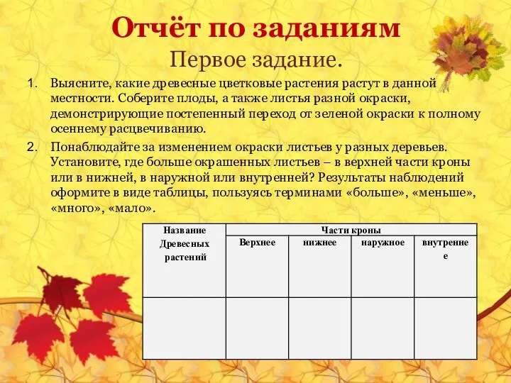 Отчёт по заданиям Первое задание. Выясните, какие древесные цветковые растения