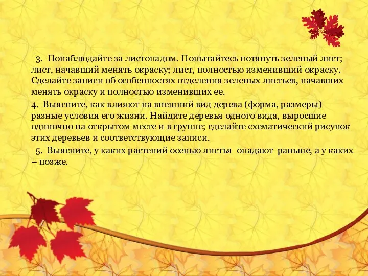 3. Понаблюдайте за листопадом. Попытайтесь потянуть зеленый лист; лист, начавший