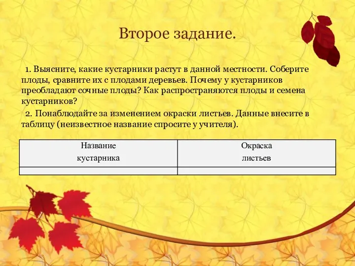 Второе задание. 1. Выясните, какие кустарники растут в данной местности.