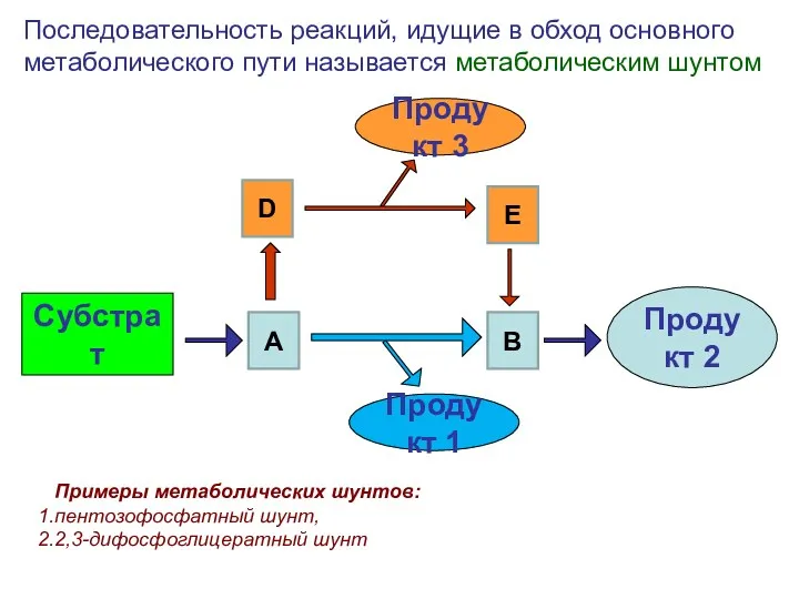 Субстрат Продукт 2 Последовательность реакций, идущие в обход основного метаболического