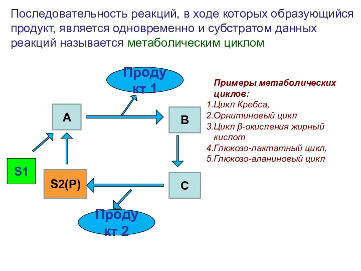 S1 Последовательность реакций, в ходе которых образующийся продукт, является одновременно