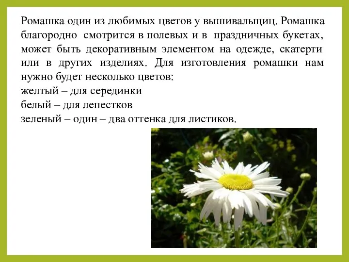 Ромашка один из любимых цветов у вышивальщиц. Ромашка благородно смотрится