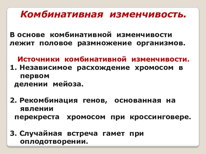 Комбинативная изменчивость. В основе комбинативной изменчивости лежит половое размножение организмов.