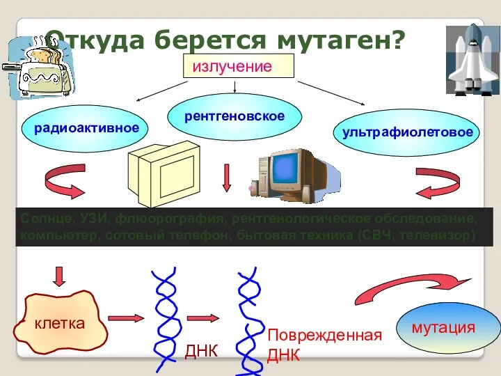 Откуда берется мутаген? излучение радиоактивное рентгеновское ультрафиолетовое Солнце, УЗИ, флюорография,