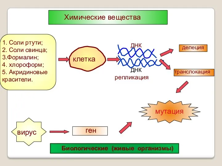 Химические вещества 1. Соли ртути; 2. Соли свинца; 3.Формалин; 4.