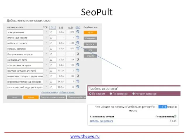 SeoPult www.theeye.ru