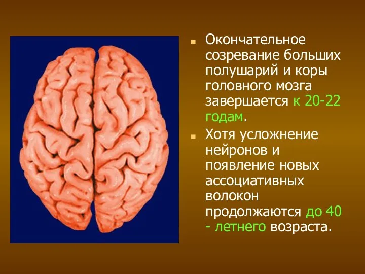 Окончательное созревание больших полушарий и коры головного мозга завершается к