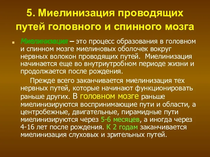 5. Миелинизация проводящих путей головного и спинного мозга Миелинизация –