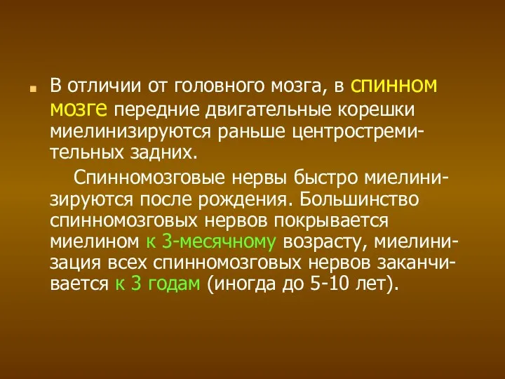 В отличии от головного мозга, в спинном мозге передние двигательные