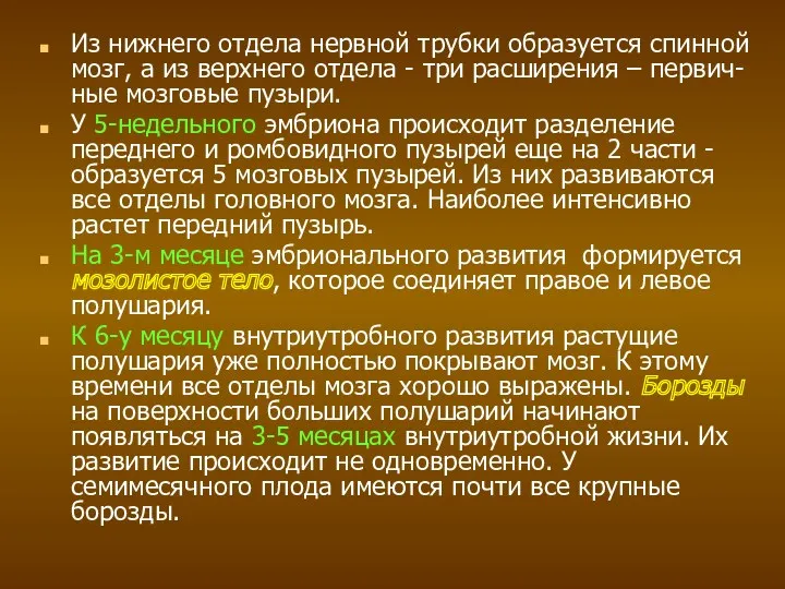 Из нижнего отдела нервной трубки образуется спинной мозг, а из