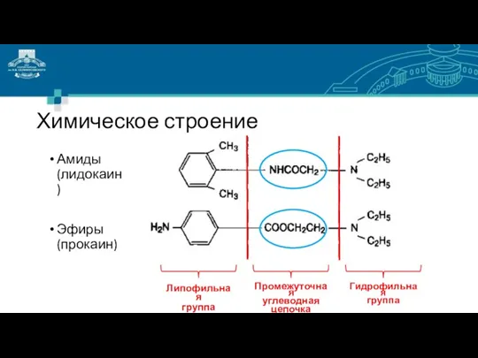 Химическое строение Амиды (лидокаин) Эфиры (прокаин)