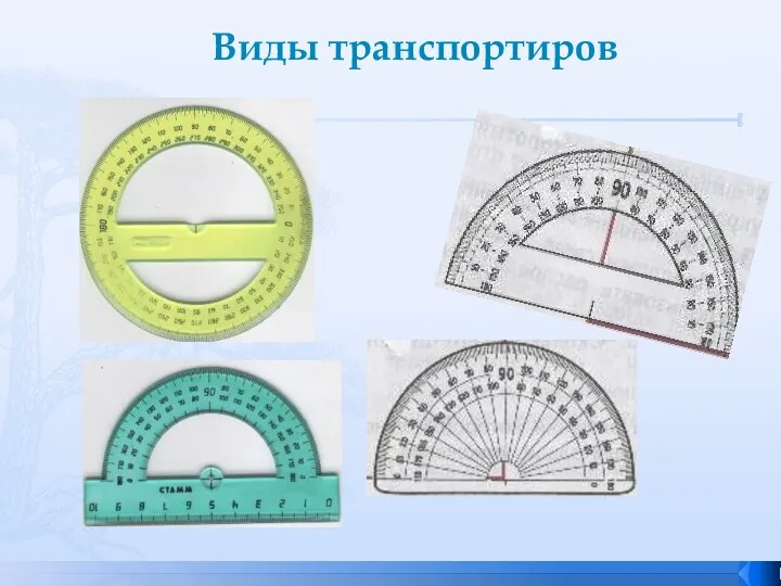 Виды транспортиров