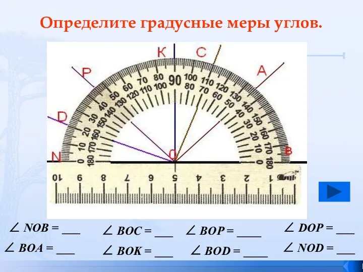 Определите градусные меры углов. ∠ NOB = ___ ∠ BOA