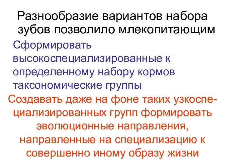 Разнообразие вариантов набора зубов позволило млекопитающим Сформировать высокоспециализированные к определенному набору кормов таксономические